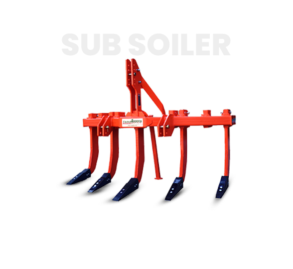 10-Deacetylbaccatin III